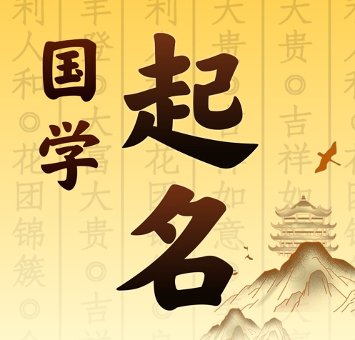 沙雅国学起名 人工起名一对一